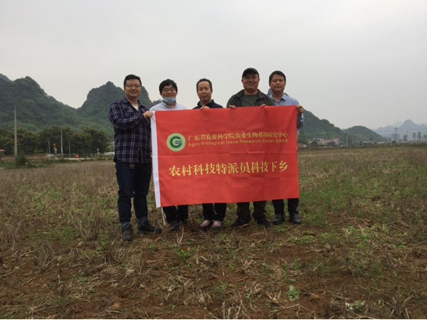图片说明