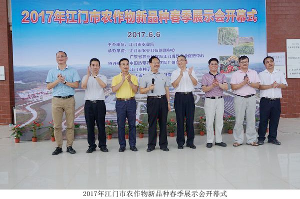 图片说明