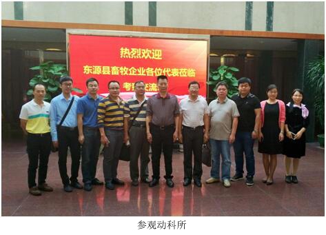 图片说明