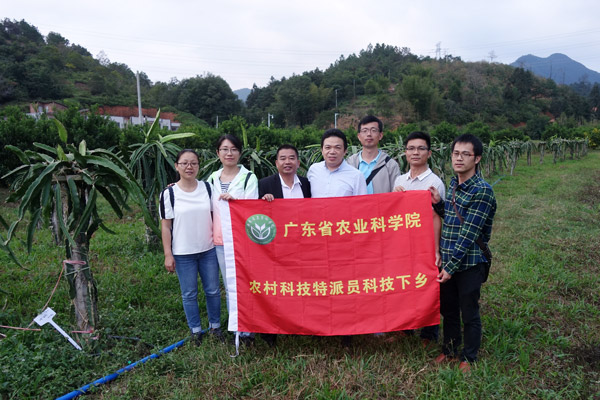图片说明