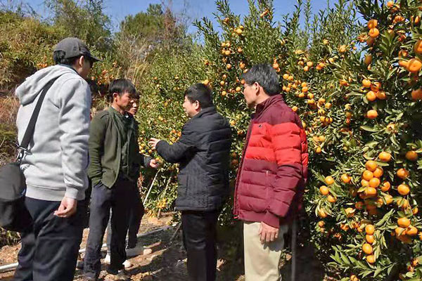 图片说明