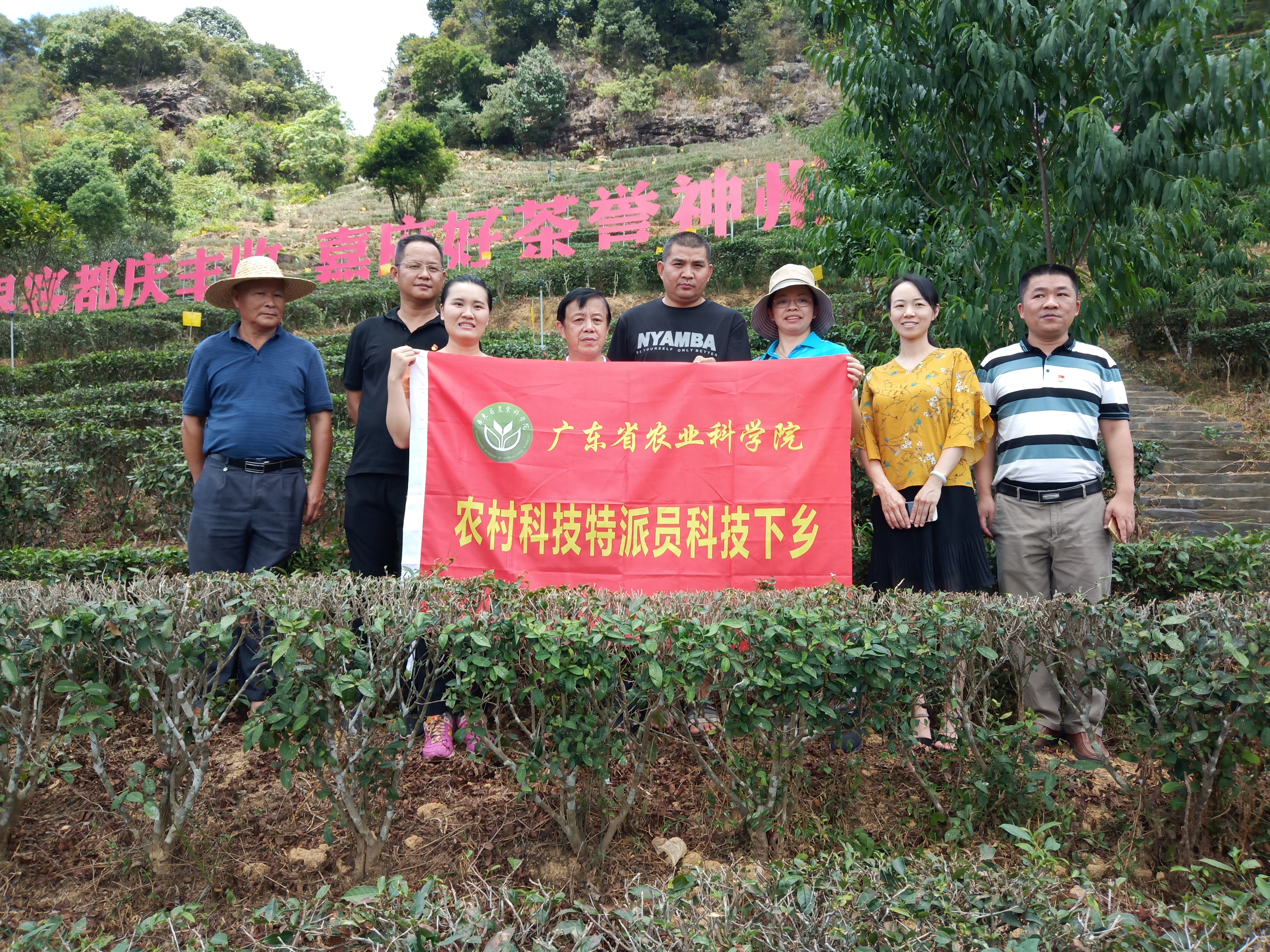 图片说明
