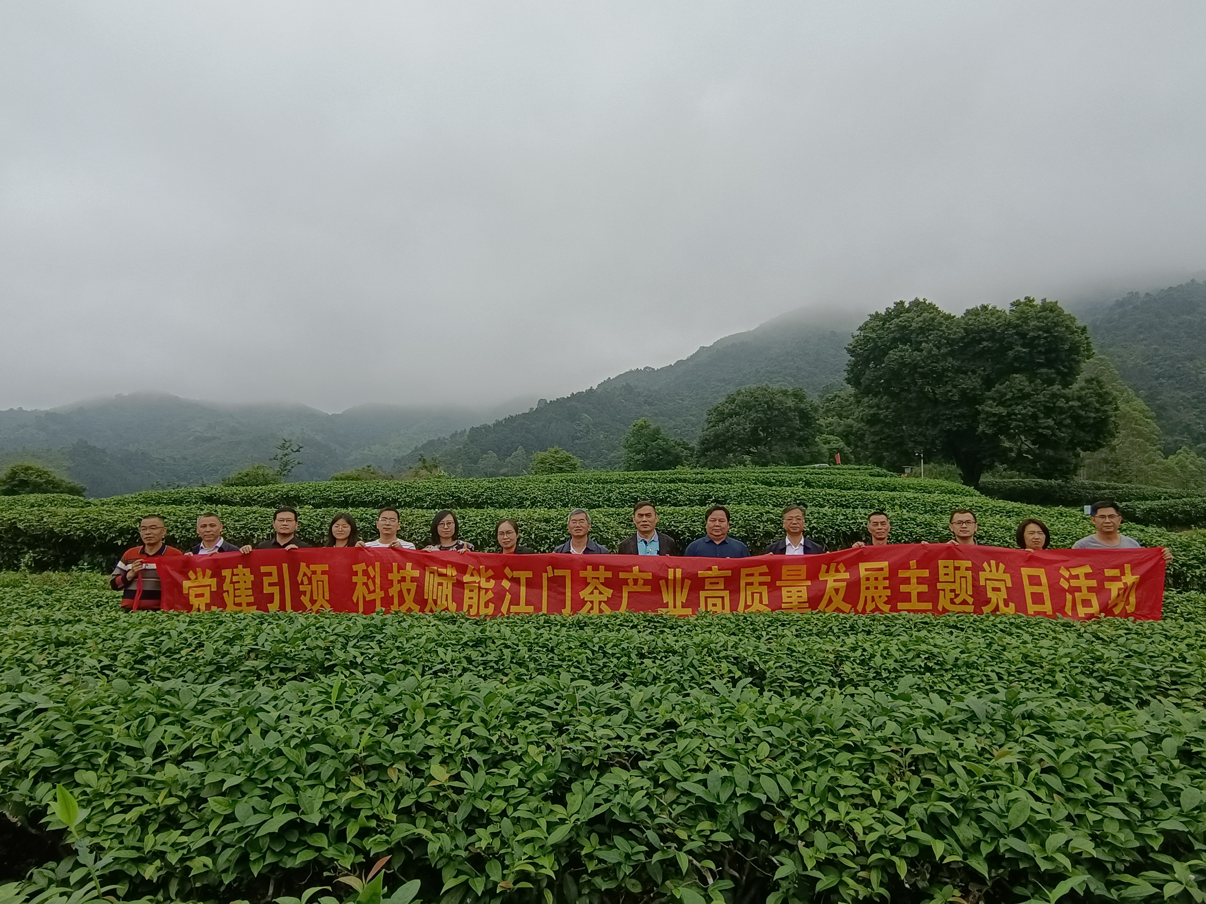 图片说明
