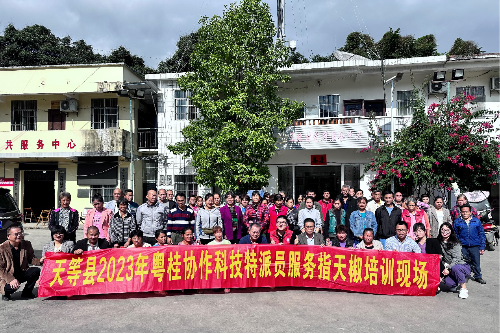 图片2.png