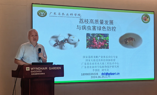 植保所到高州市开展“百千万工程”调研及技术培训6602.jpg